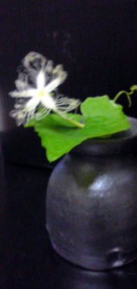 からすうりの花と黒釉花瓶
